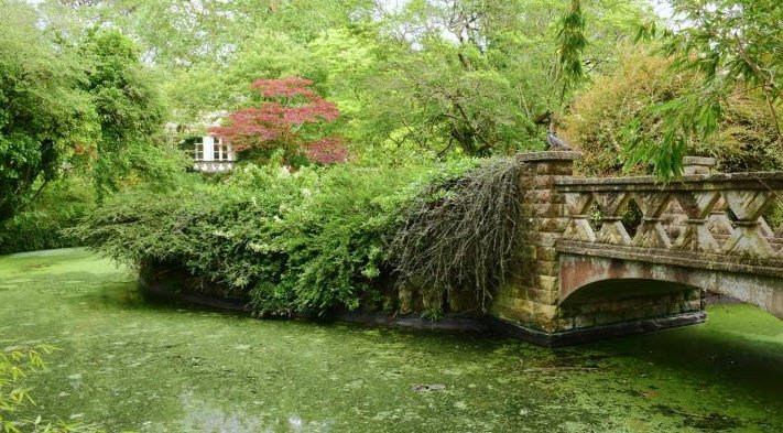 Botanical Garden of Mechelen , Belgium